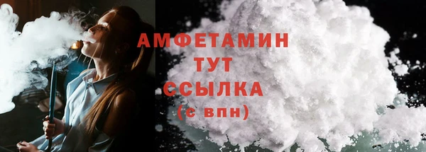 эйфоретик Няндома