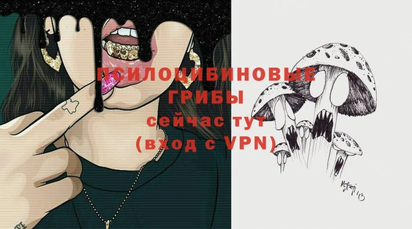 героин Алексин